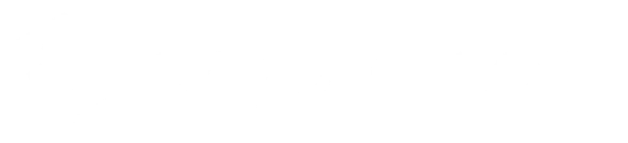 Crypto Logo